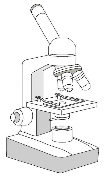 Grafik: Mikroskop – Aufbau