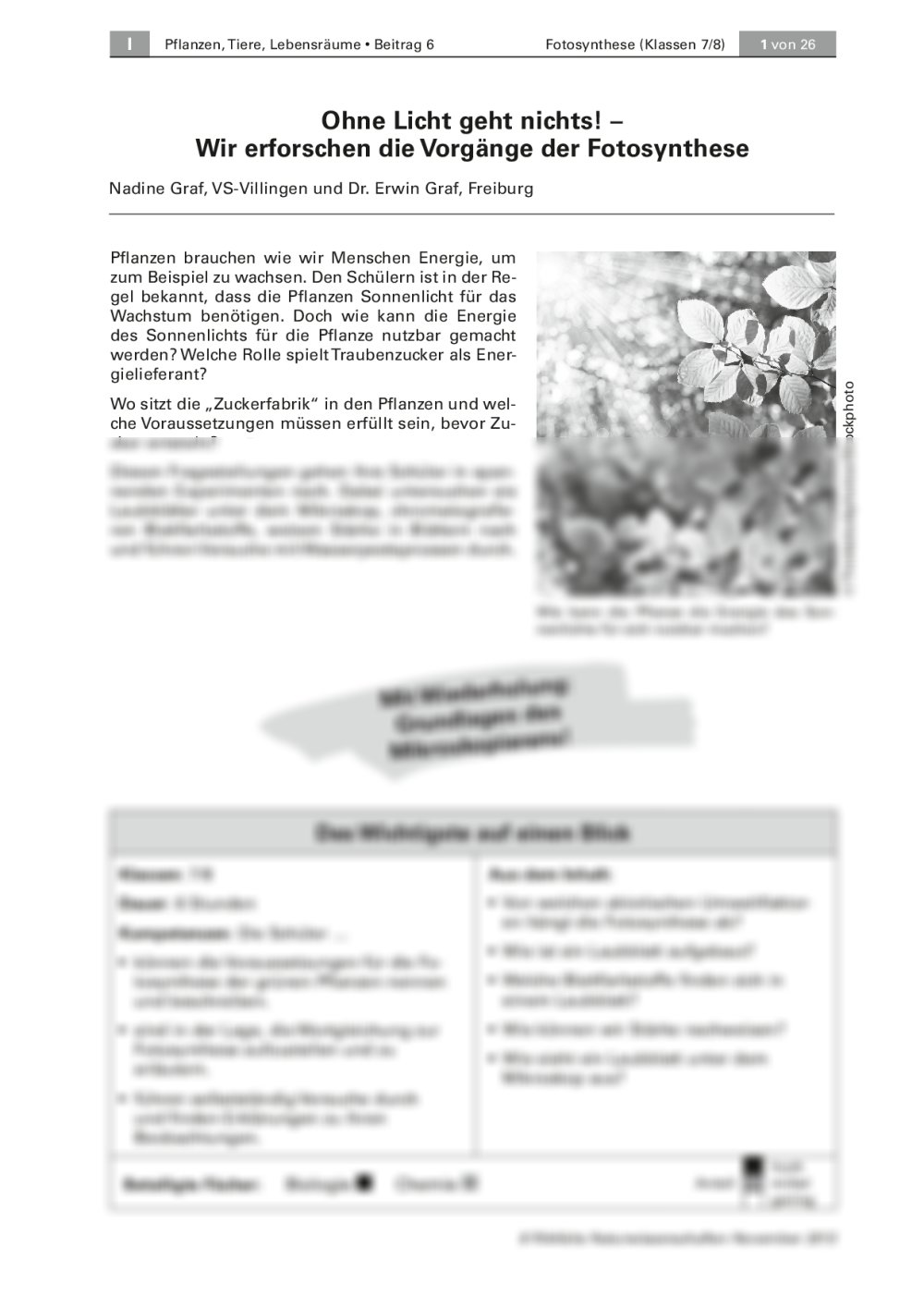 Fotosynthese - Seite 1