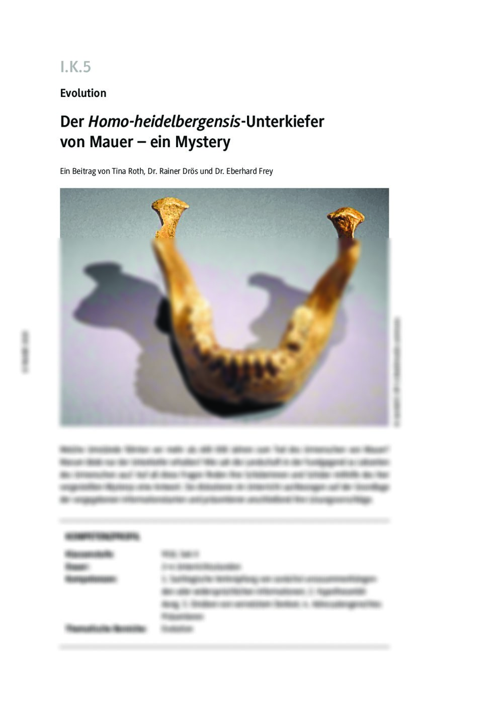 Der Homo-heidelbergensis-Unterkiefer von Mauer - Seite 1