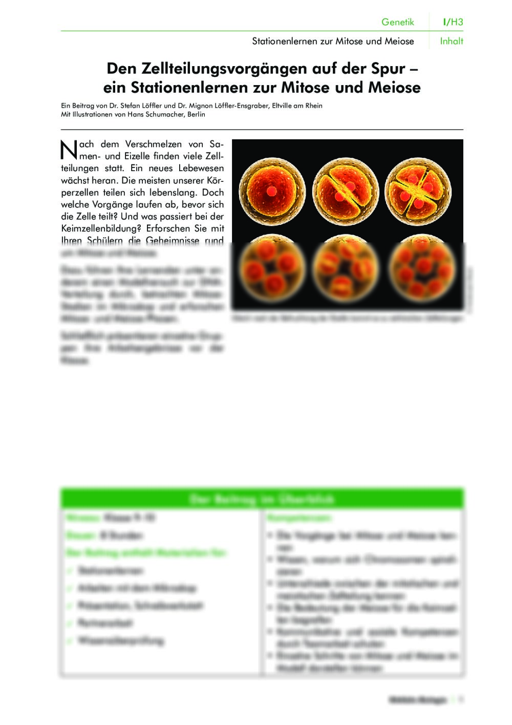 Zellteilungsvorgänge – Mitose und Meiose - Seite 1