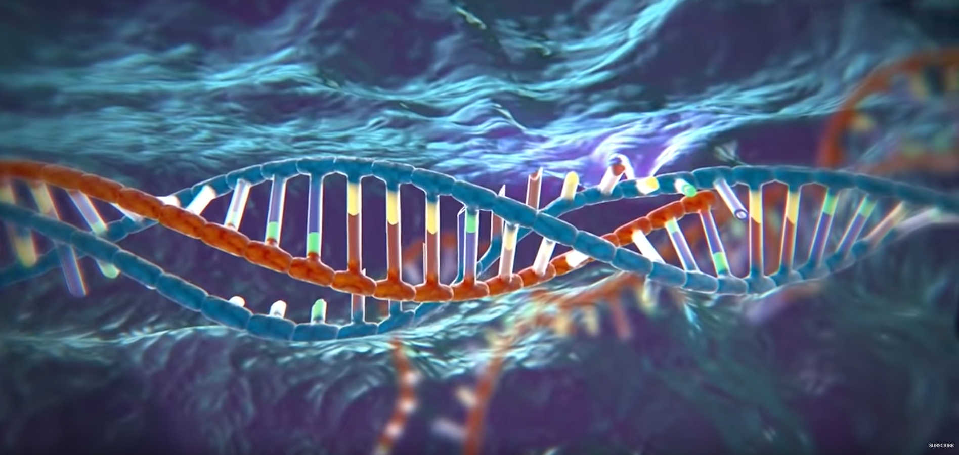 Video – CRISPR: A new genetic engineering technique
