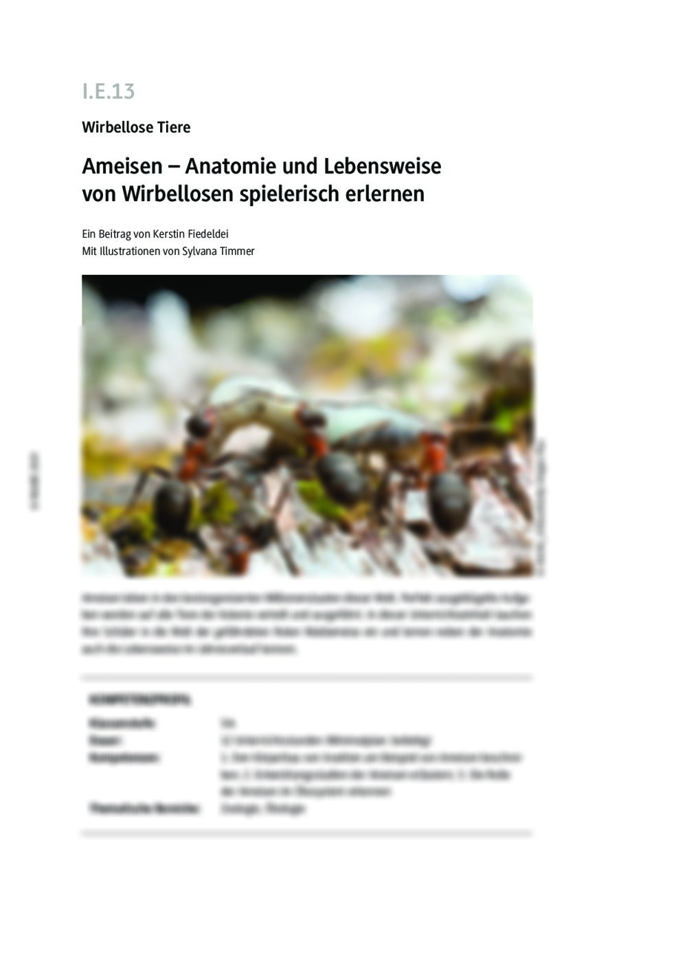 Die Anatomie und Lebensweise der Ameisen - Seite 1