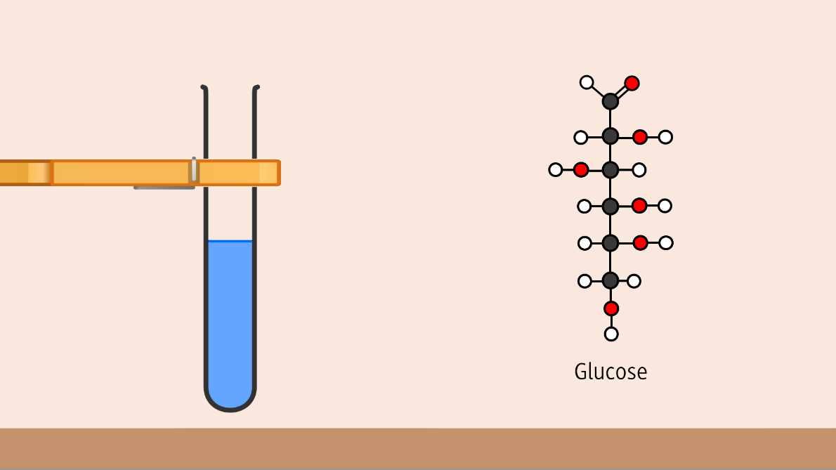 Experimentiervideo: Fehlingprobe