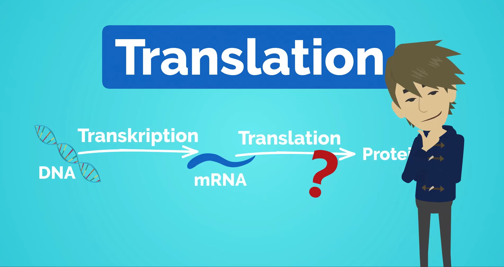 Erklärvideo: Translation