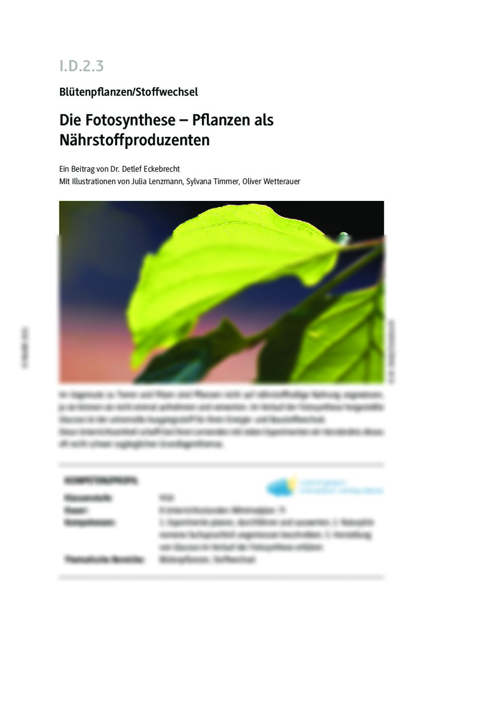 Die Fotosynthese - Seite 1
