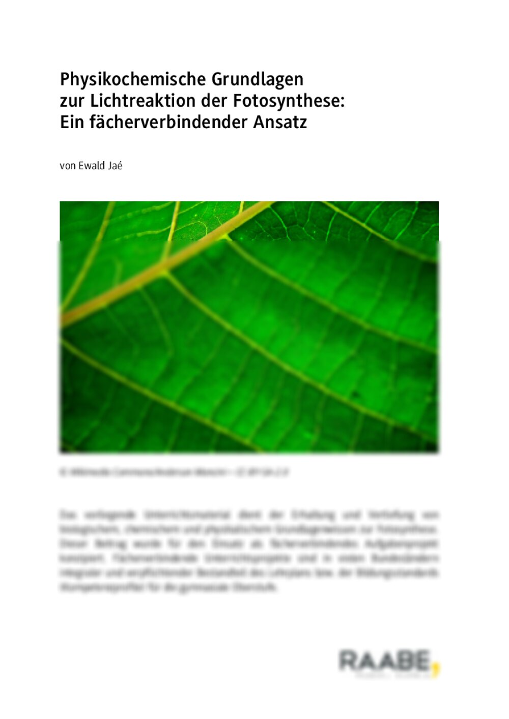 Physikochemische Grundlagen zur Lichtreaktion der Fotosynthese - Seite 1