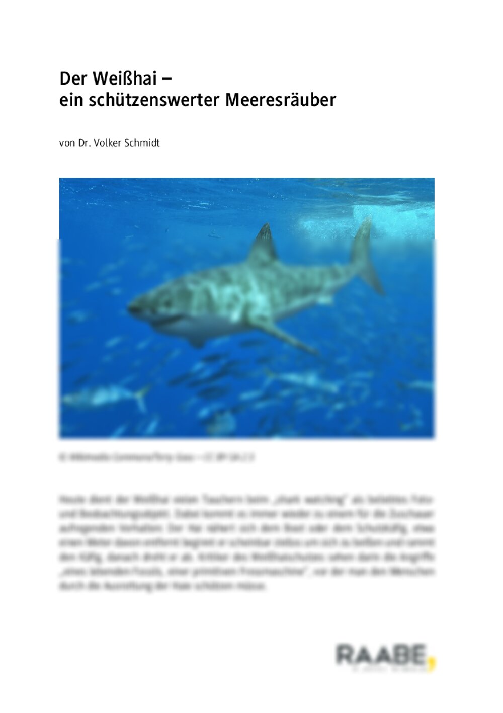 Der Weißhai - Seite 1