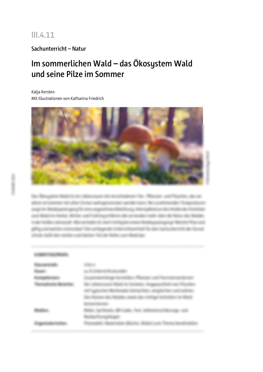 Im sommerlichen Wald - Seite 1