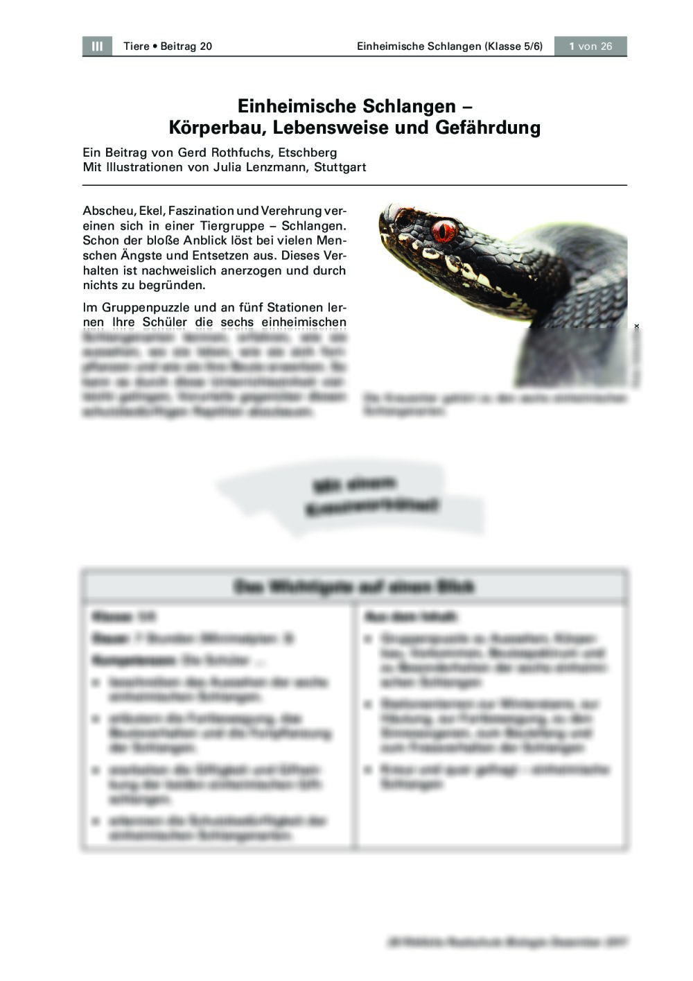 Einheimische Schlangen - Seite 1