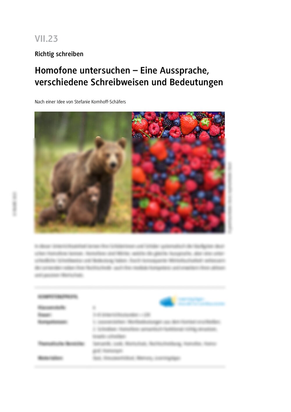 Homofone untersuchen - Seite 1