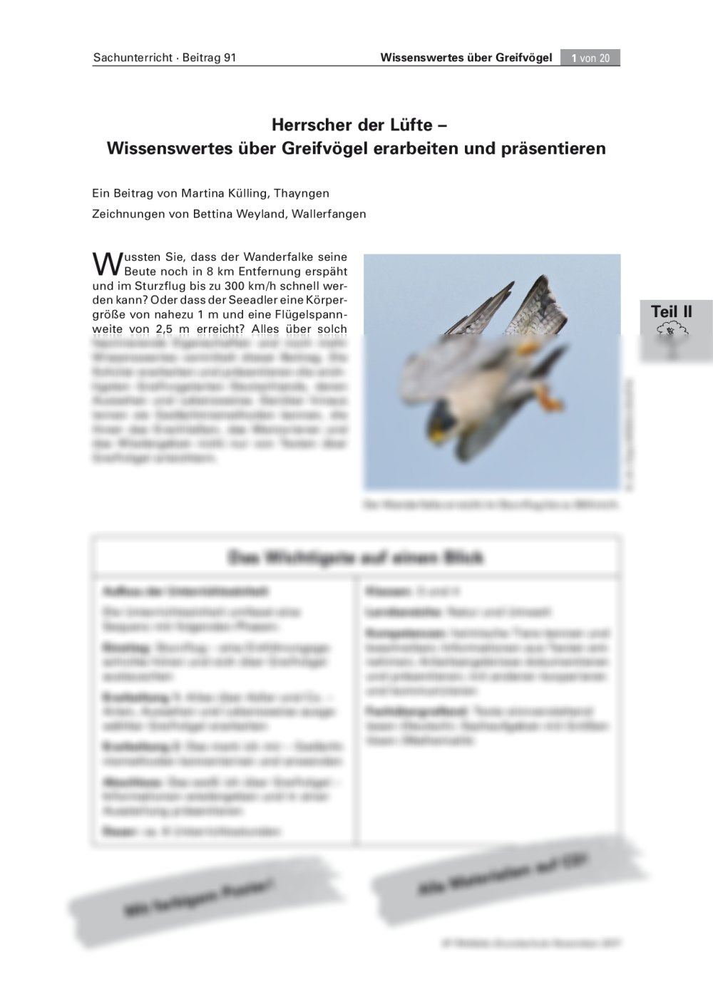 Wissenswertes über Greifvögel erarbeiten und präsentieren - Seite 1