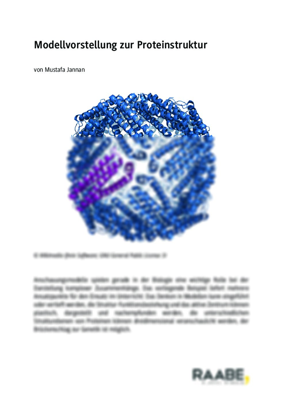 Modellvorstellung zur Proteinstruktur - Seite 1