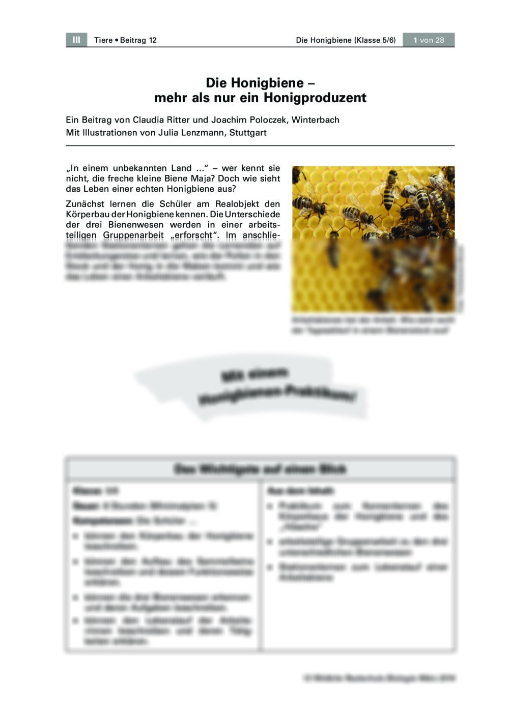 Die Honigbiene - Seite 1