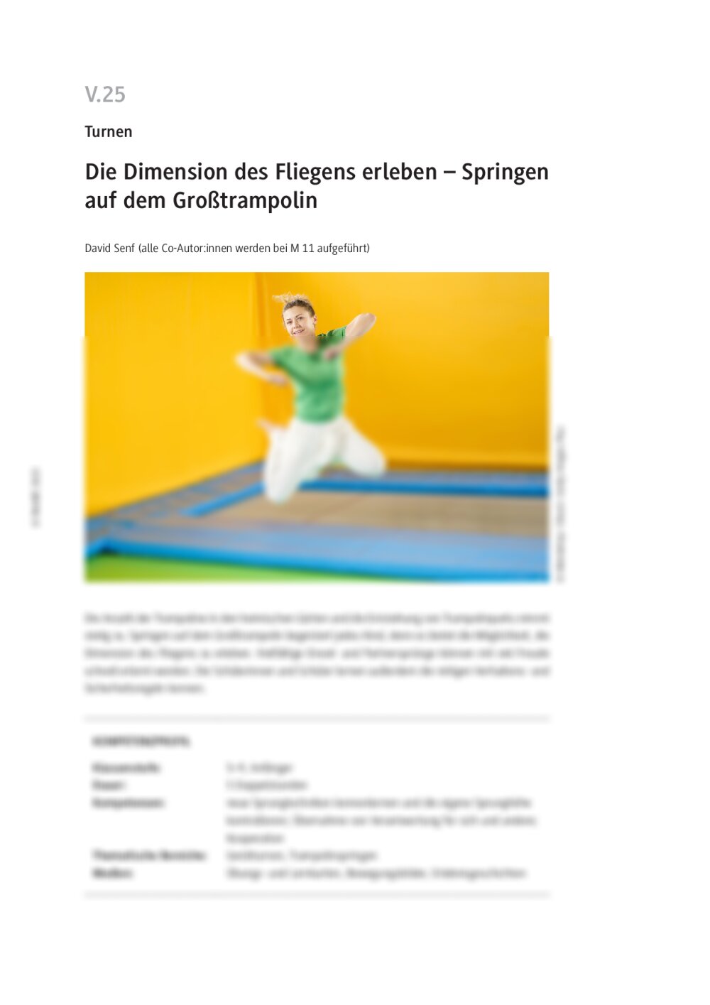 Die Dimension des Fliegens erleben  - Seite 1