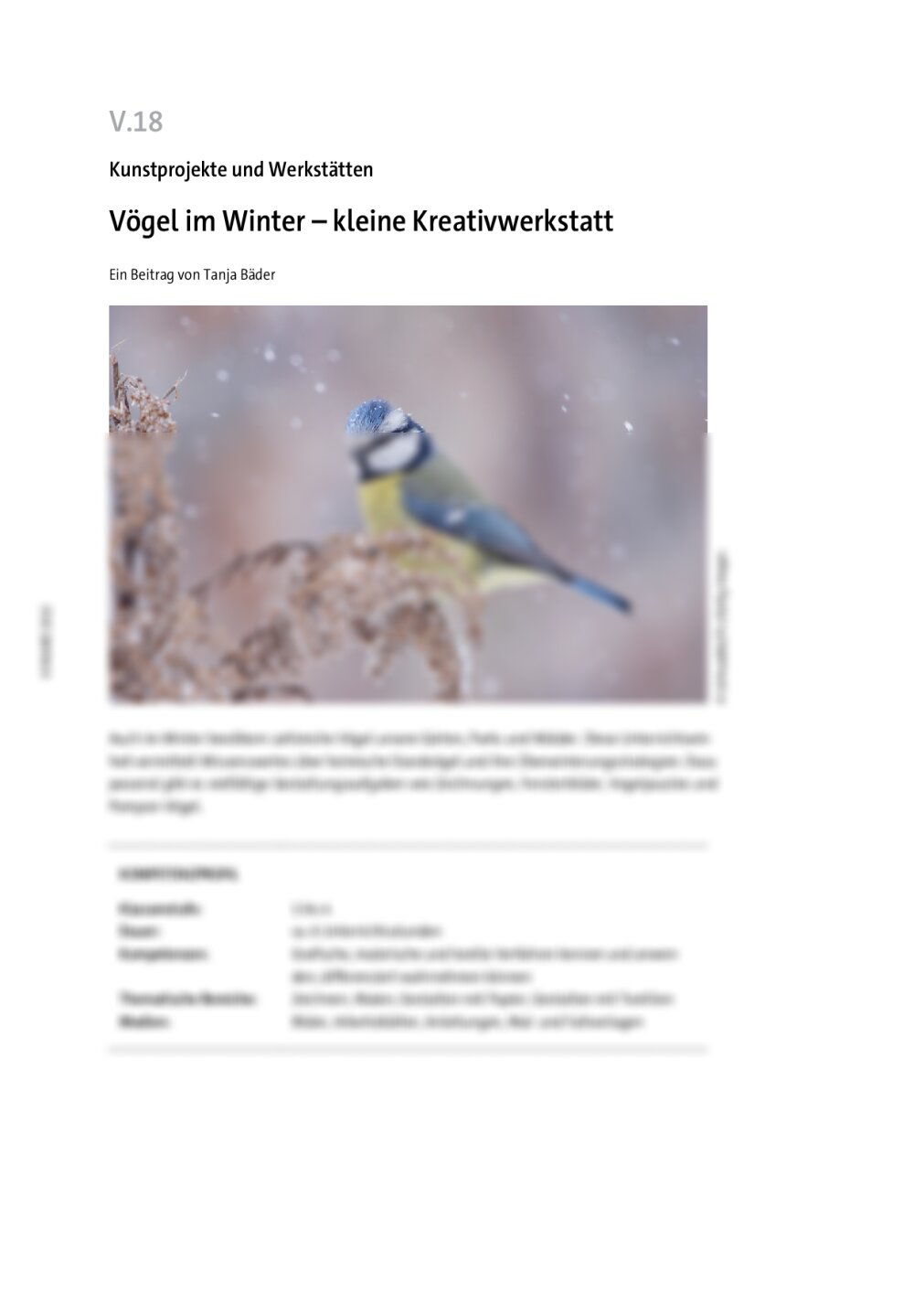 Vögel im Winter - Seite 1