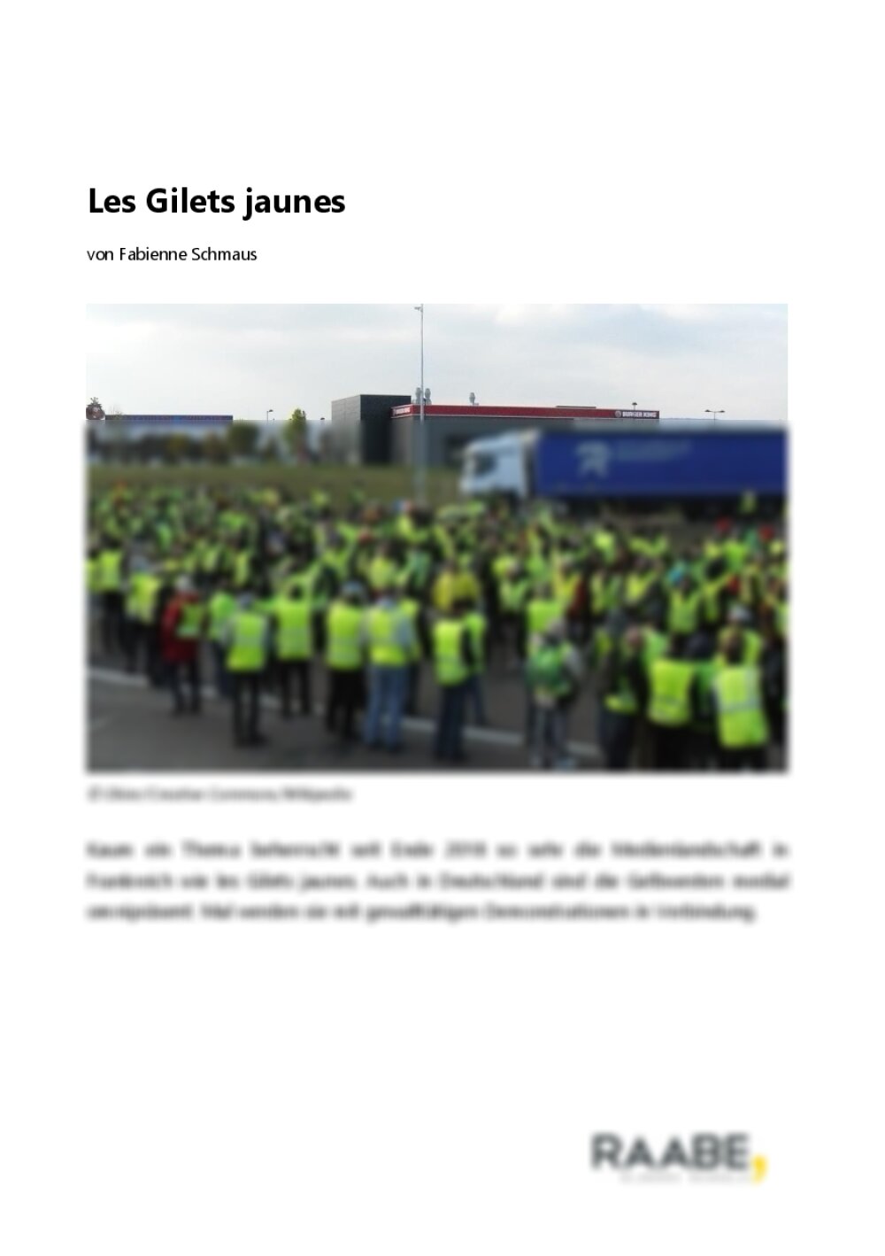 Les Gilets jaunes - Seite 1