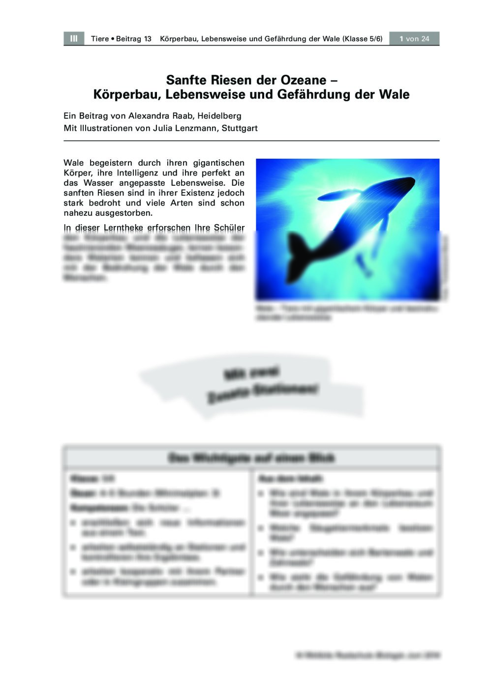 Körperbau, Lebensweise und Gefährdung der Wale - Seite 1