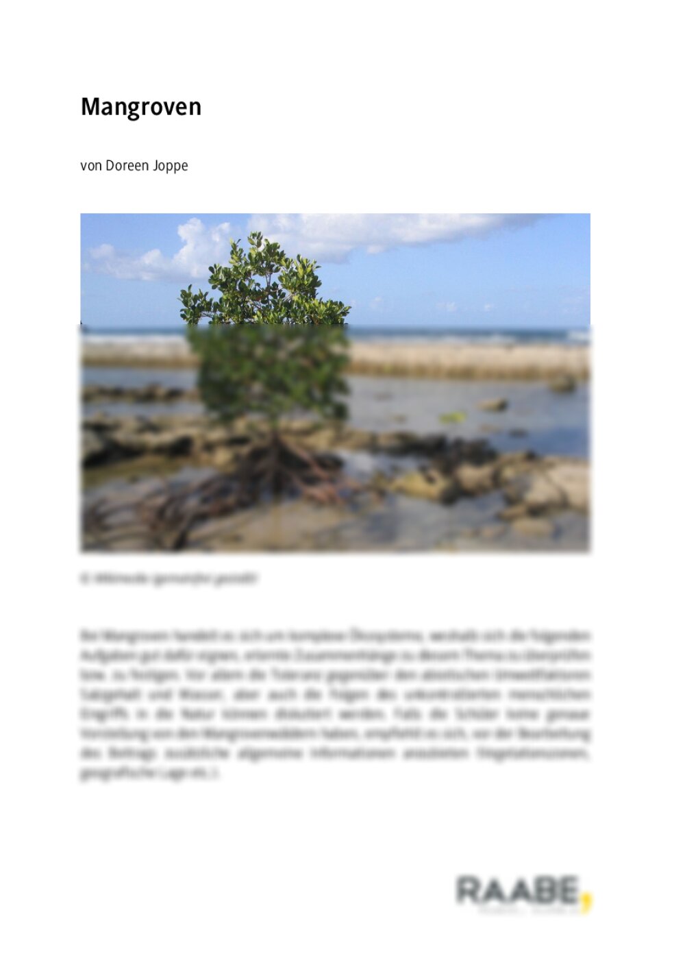 Mangroven - Seite 1
