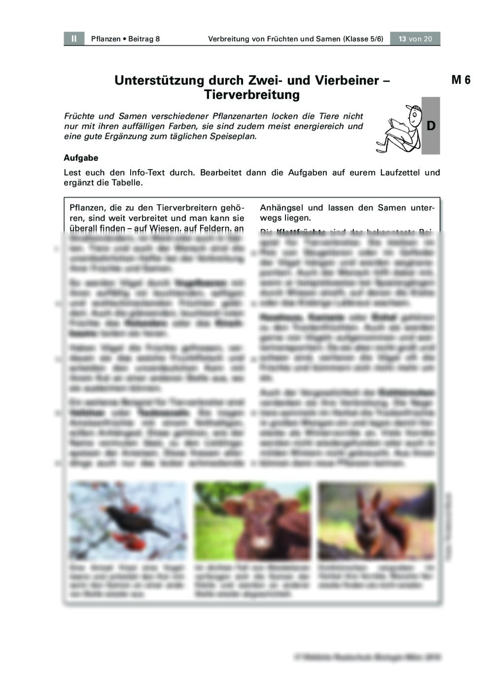 Verbreitung von Samen und Früchten | RAAbits Online