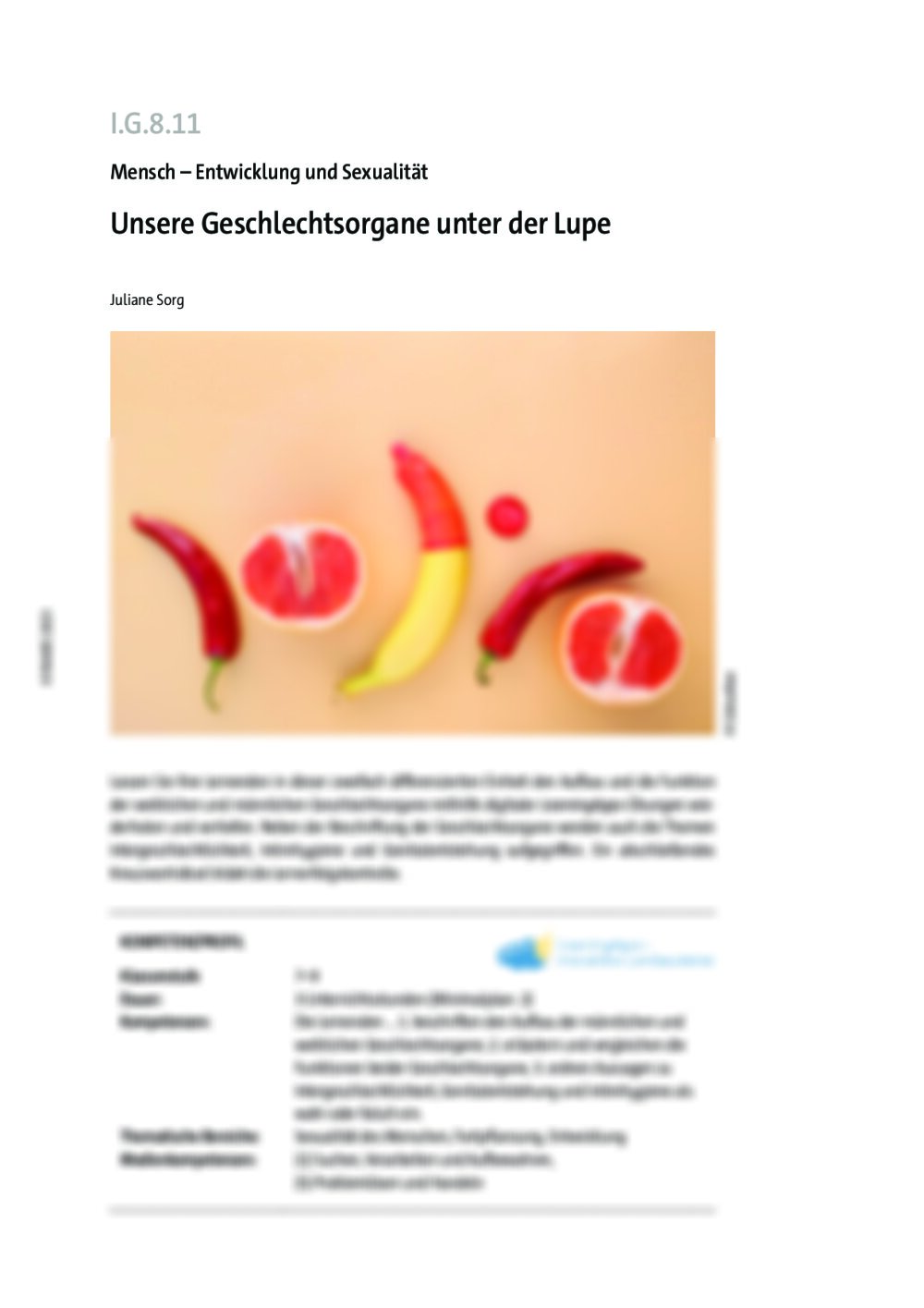 Unsere Geschlechtsorgane unter der Lupe - Seite 1