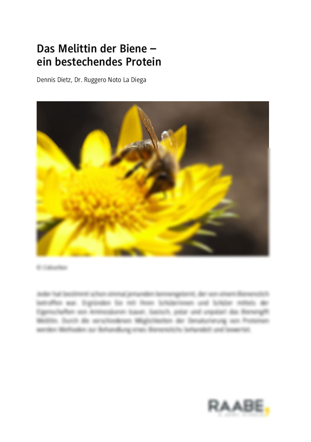 Das Melittin der Biene - Seite 1