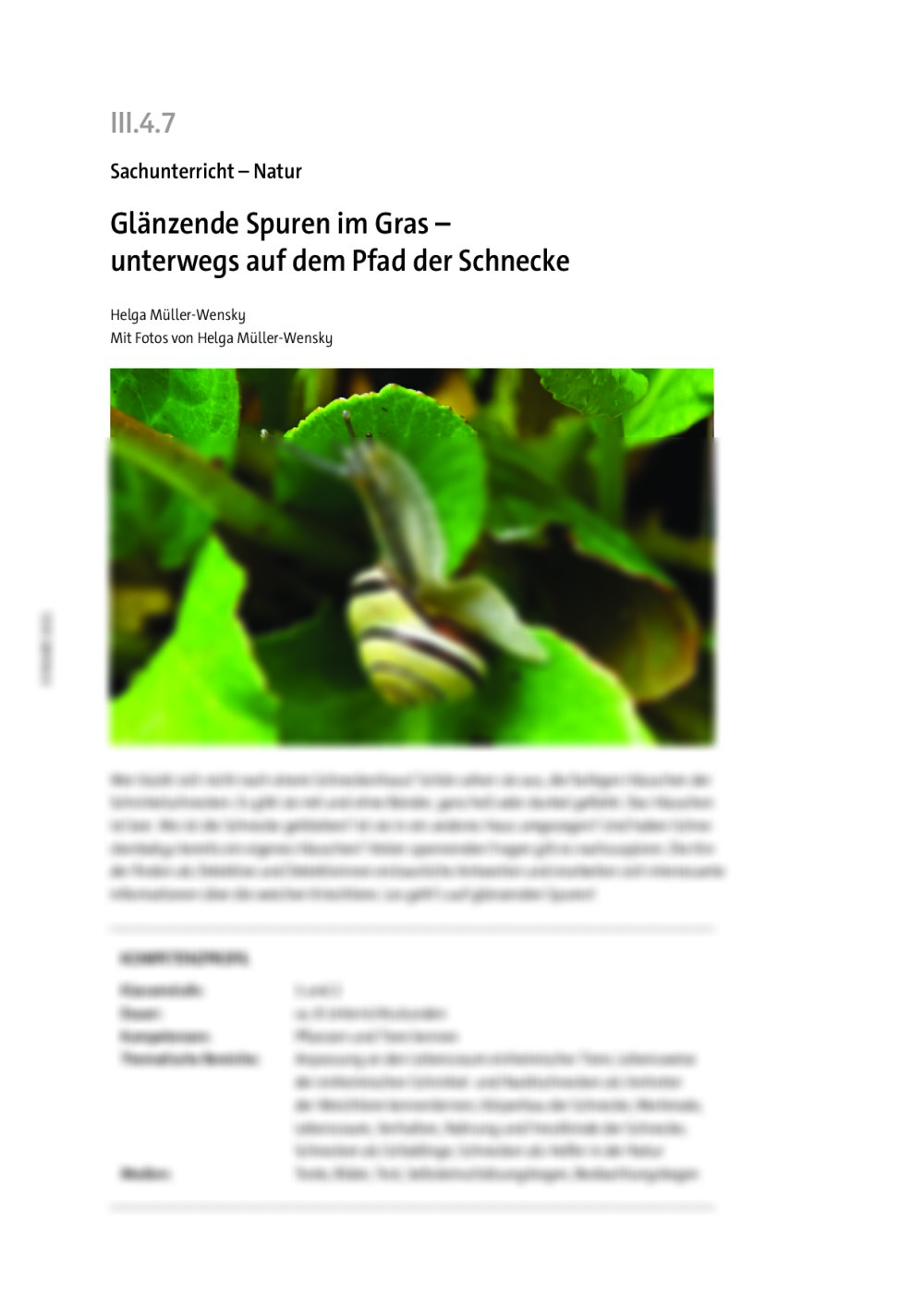 Glänzende Spuren im Gras - Seite 1