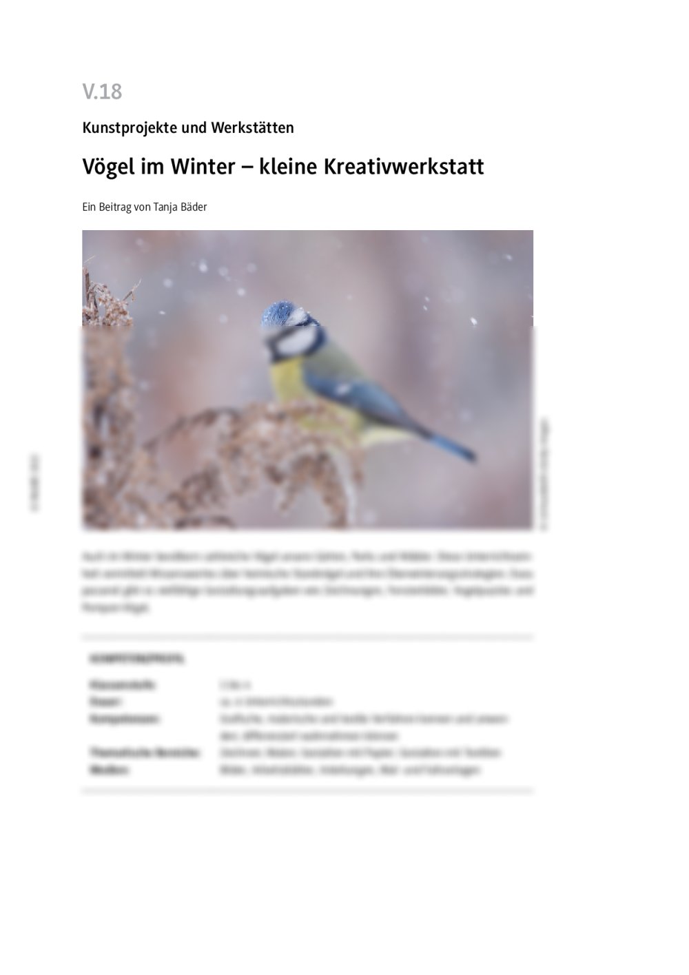 Vögel im Winter - Seite 1
