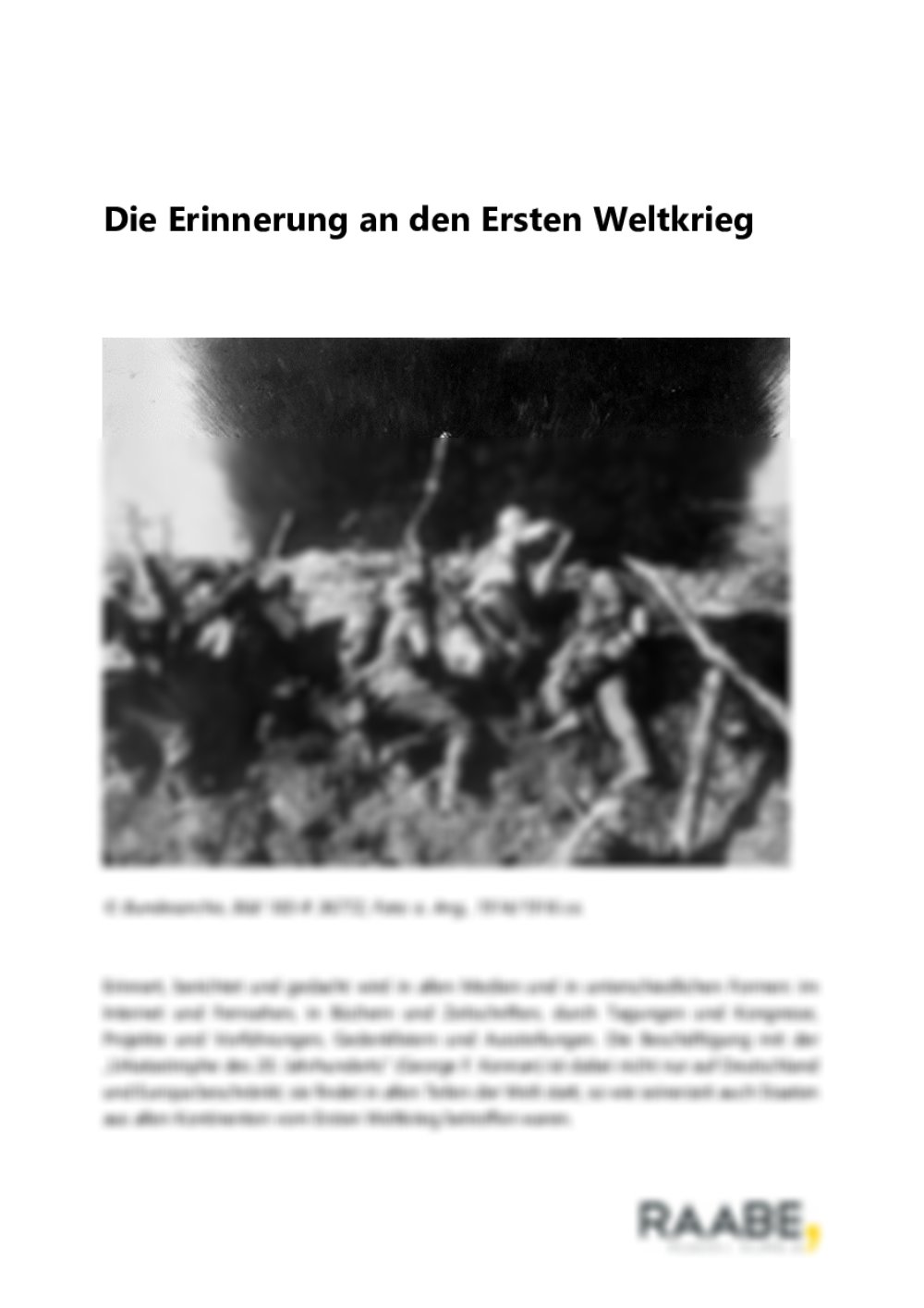 Die Erinnerung an den Ersten Weltkrieg - Seite 1