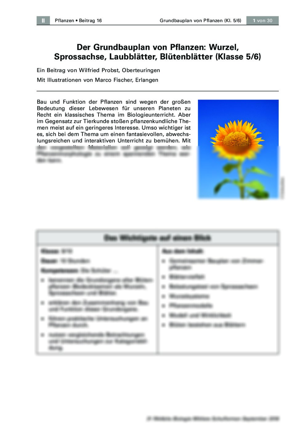Der Grundbauplan von Pflanzen - Seite 1