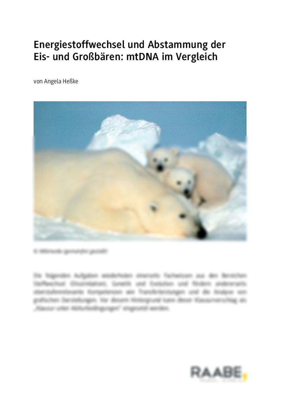 Energiestoffwechsel und Abstammung der Eis- und Großbären - Seite 1