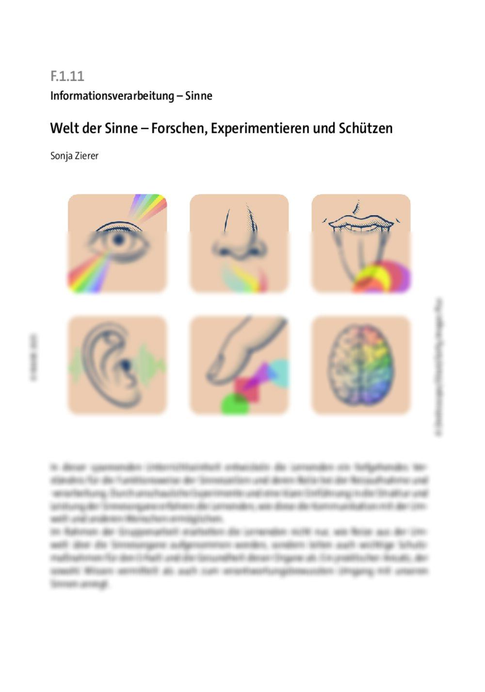 Welt der Sinne - Seite 1