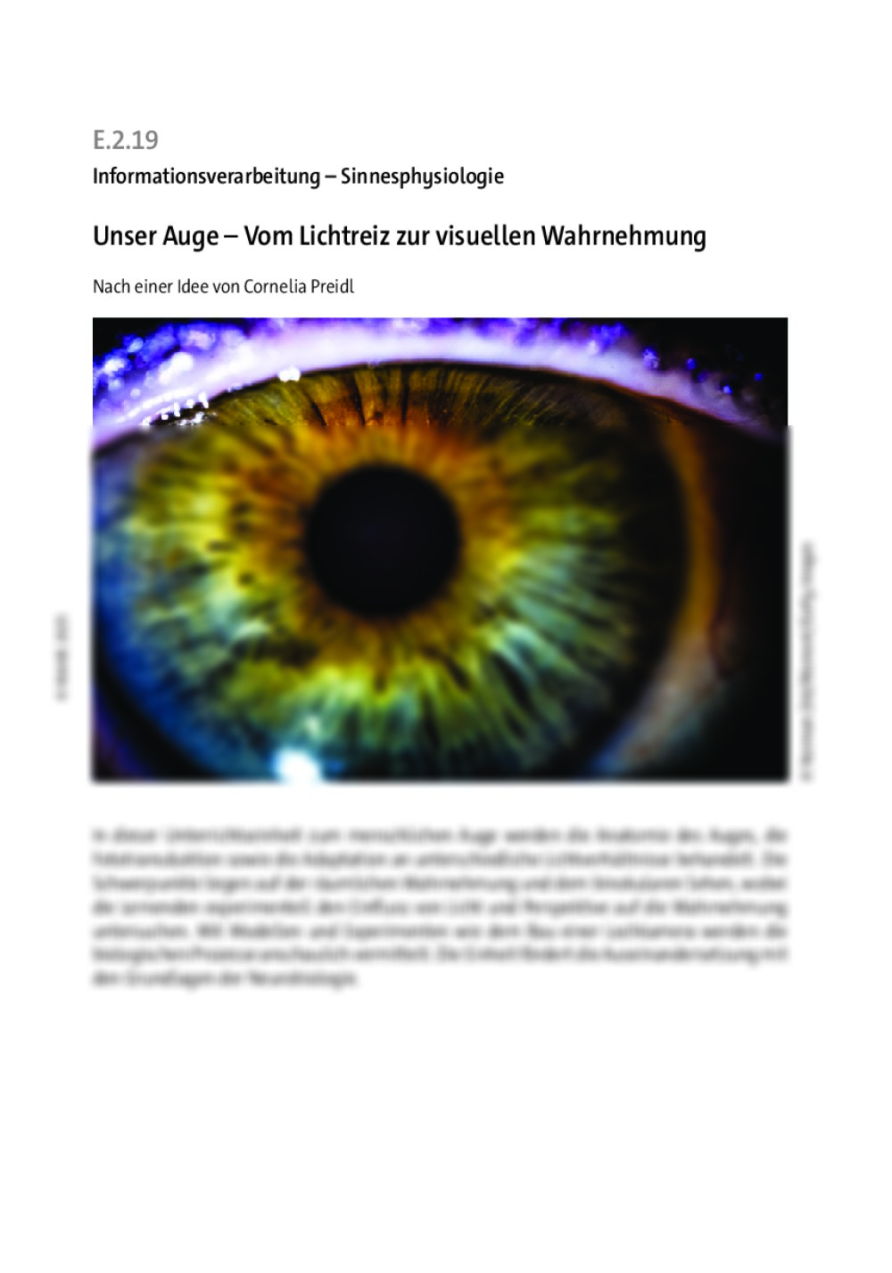 Unser Auge - Seite 1