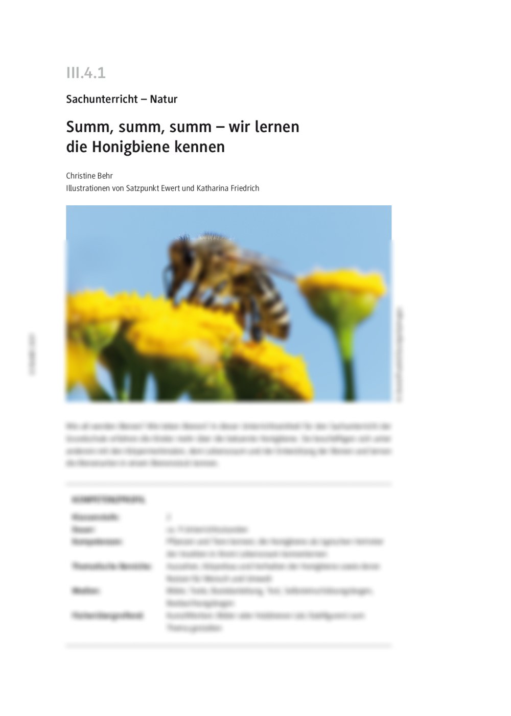 Die Honigbiene kennenlernen - Seite 1