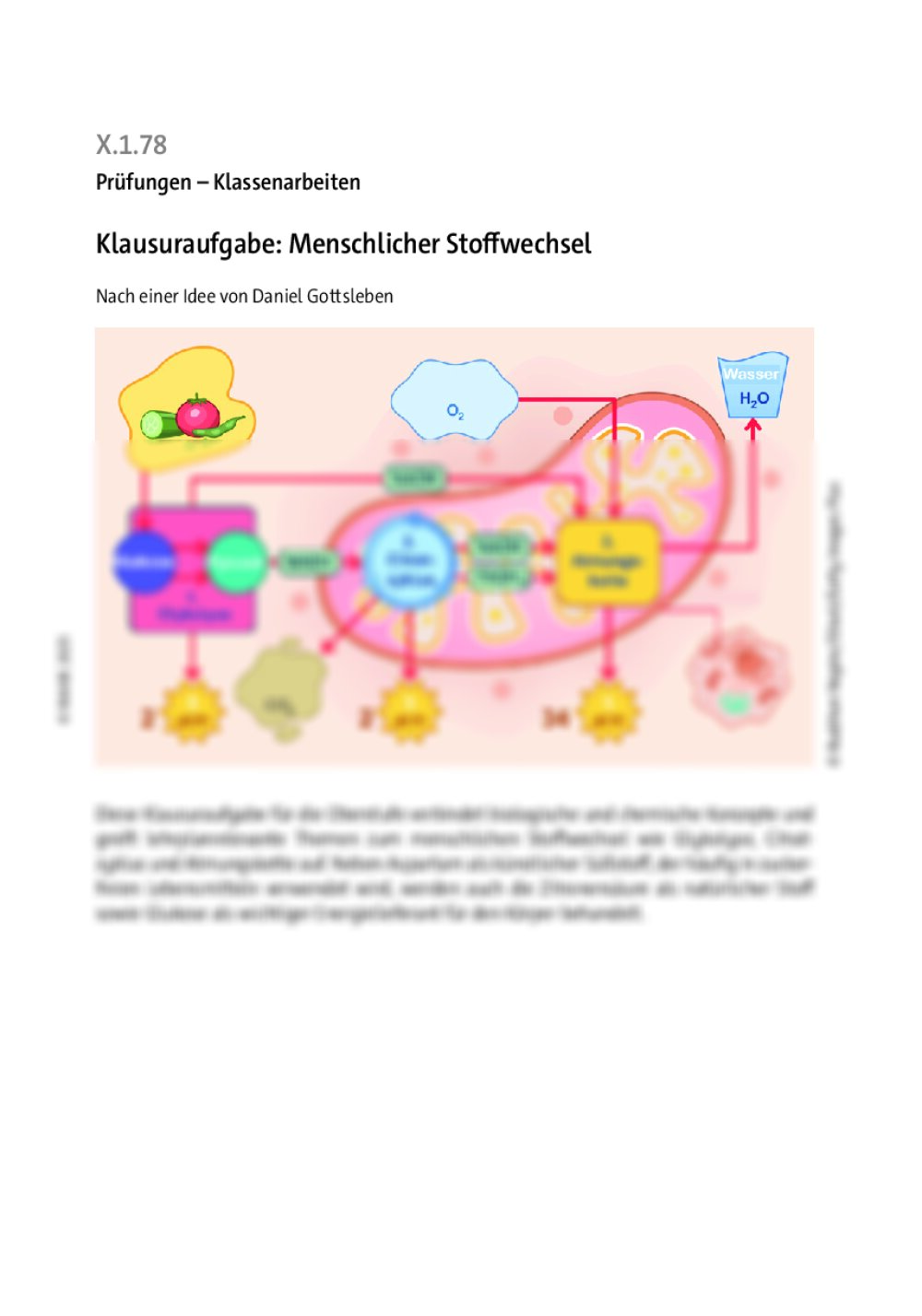 Klausuraufgabe: Menschlicher Stoffwechsel - Seite 1