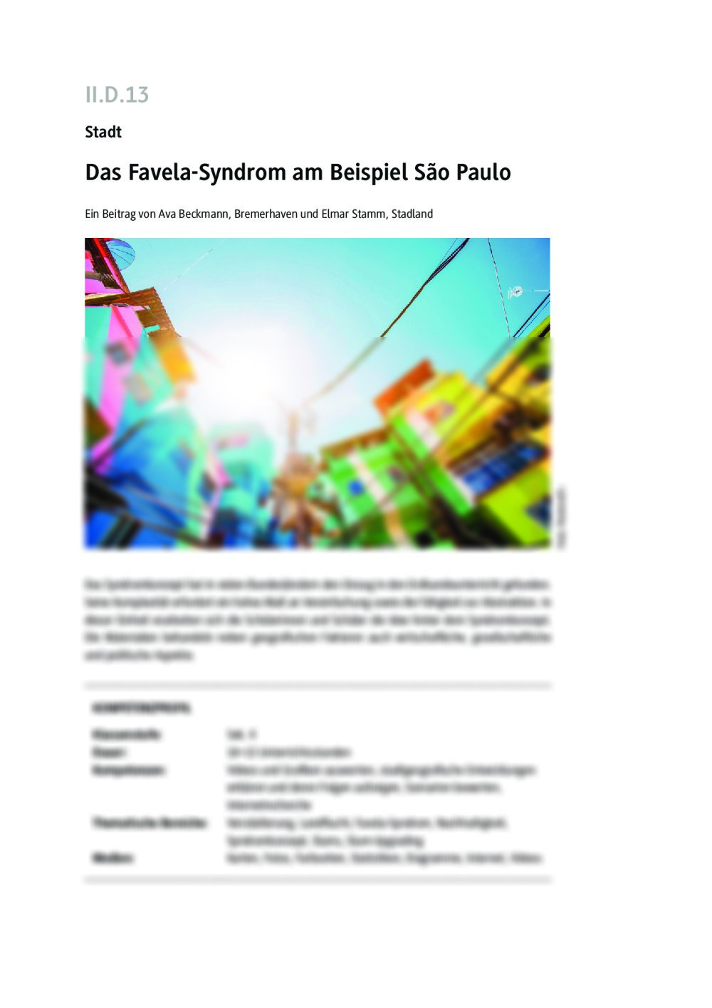 Das Favela-Syndrom am Beispiel São Paulo - Seite 1