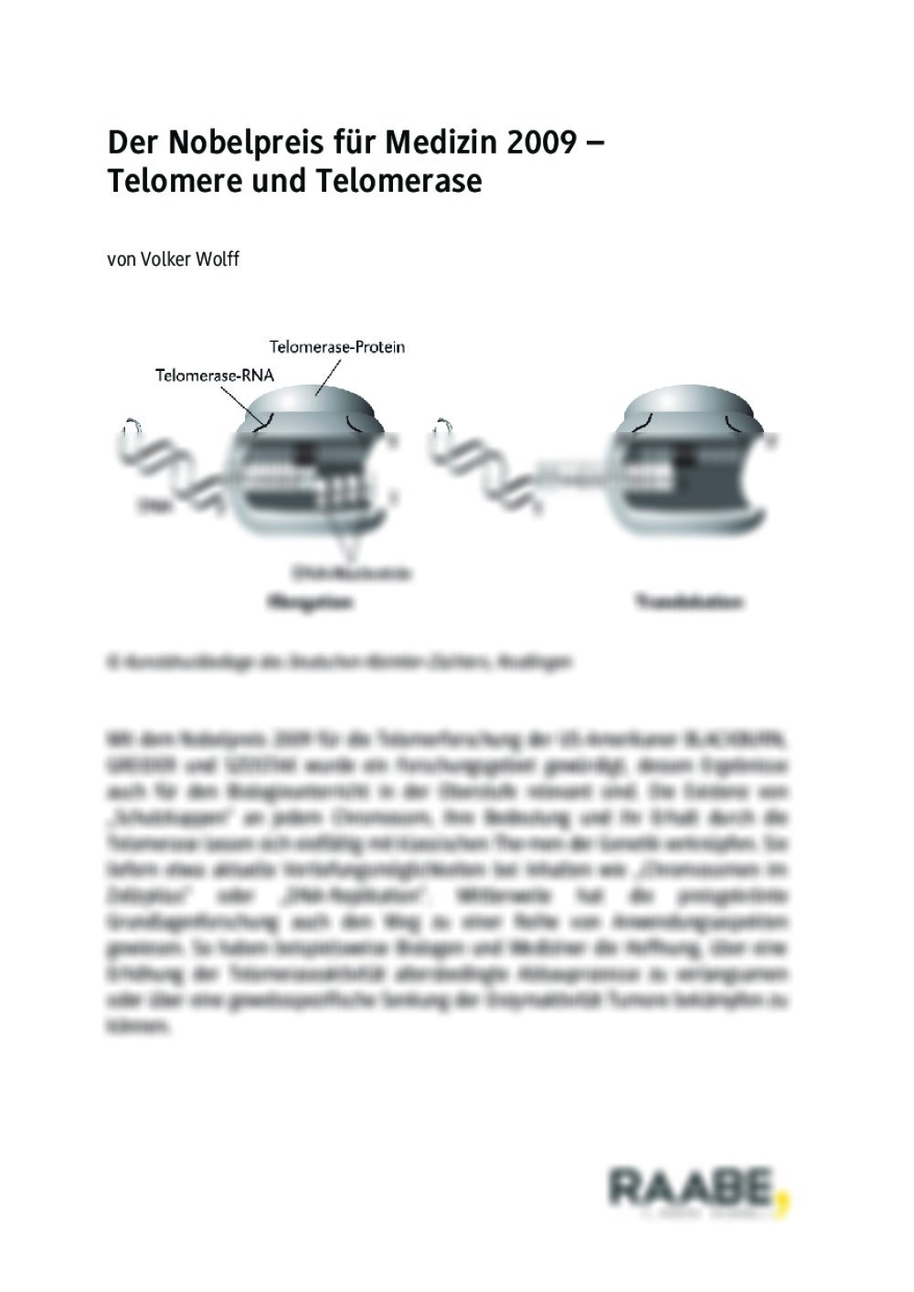 Telomere und Telomerase - Seite 1