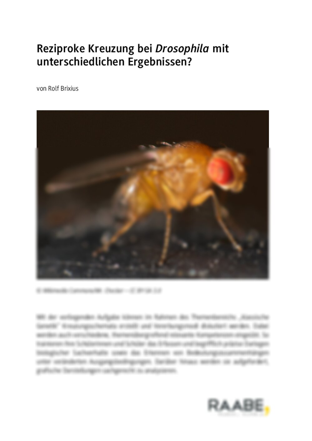 Reziproke Kreuzung bei Drosophila - Seite 1