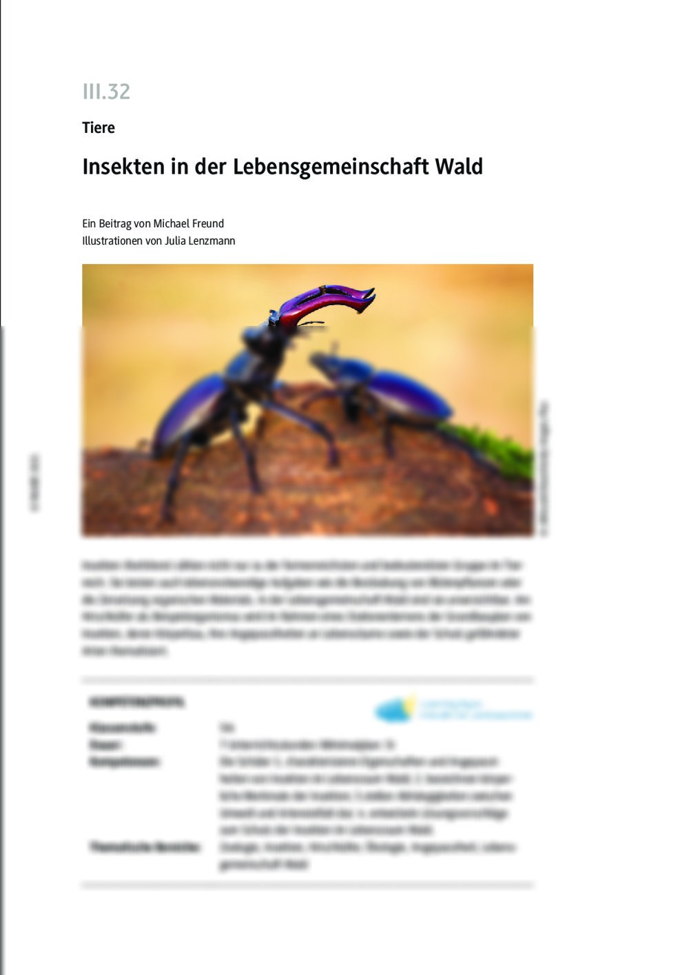 Insekten in der Lebensgemeinschaft Wald - Seite 1