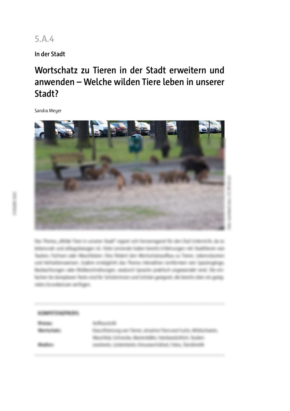 Wortschatz zu Tieren in der Stadt erweitern und anwenden - Seite 1