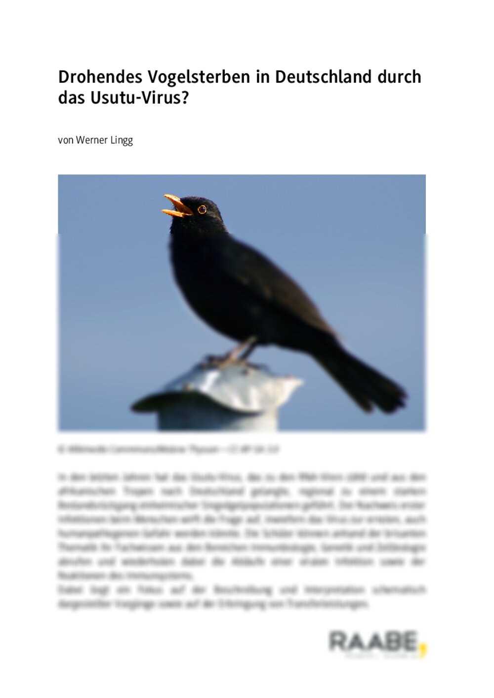 Drohendes Vogelsterben durch das Usutu-Virus - Seite 1
