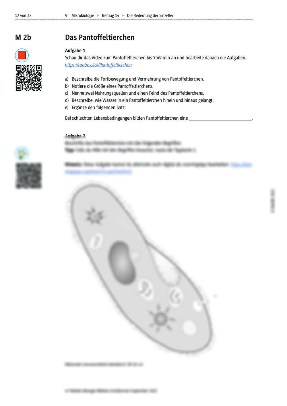 Die Bedeutung der Einzeller RAAbits Online