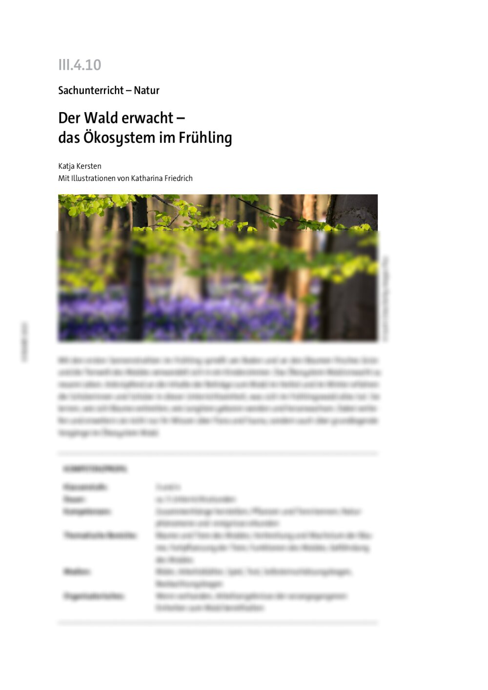 Der Wald erwacht - Seite 1
