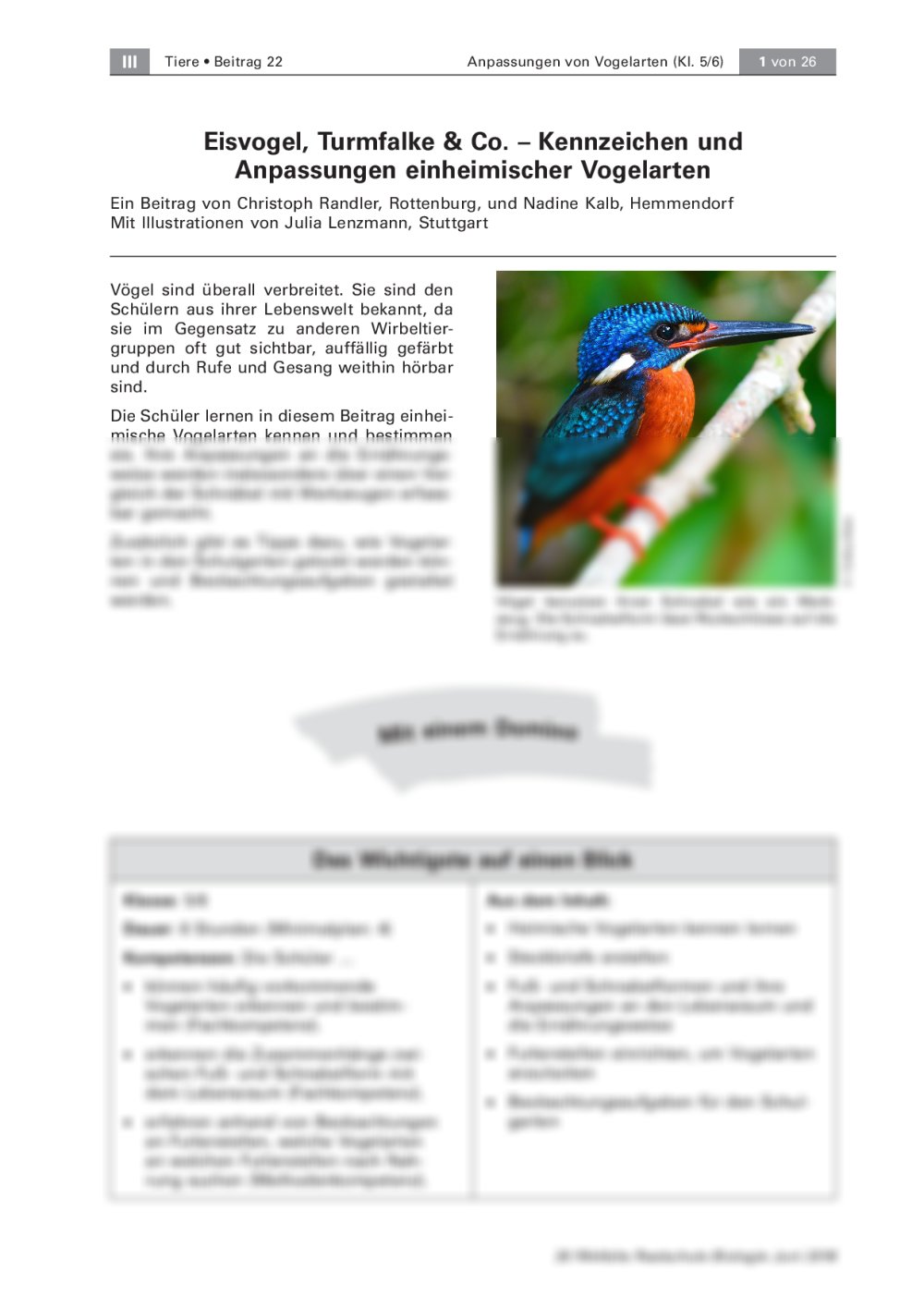 Kennzeichen und Anpassungen einheimischer Vogelarten - Seite 1