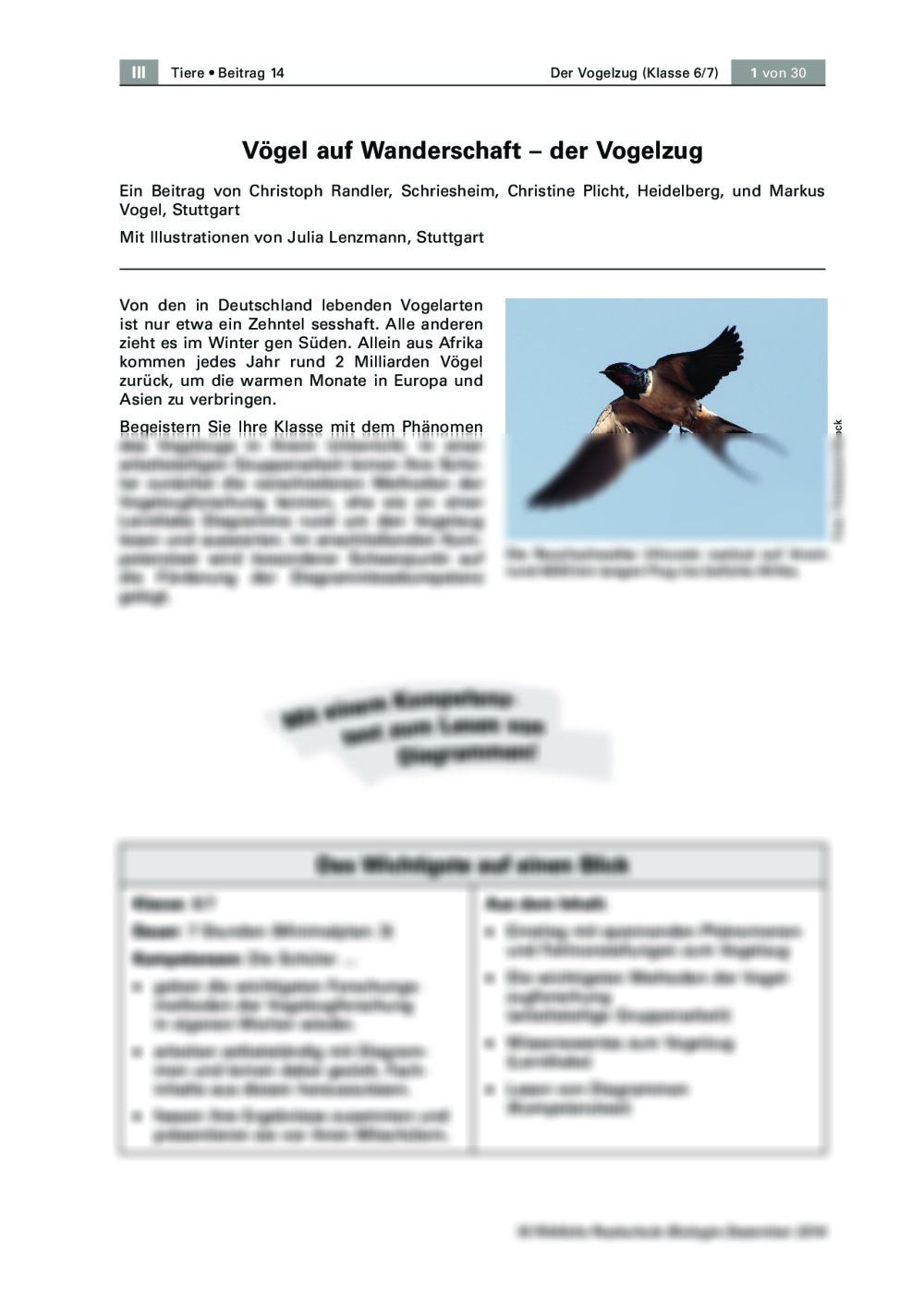 Vögel auf Wanderschaft – der Vogelzug - Seite 1