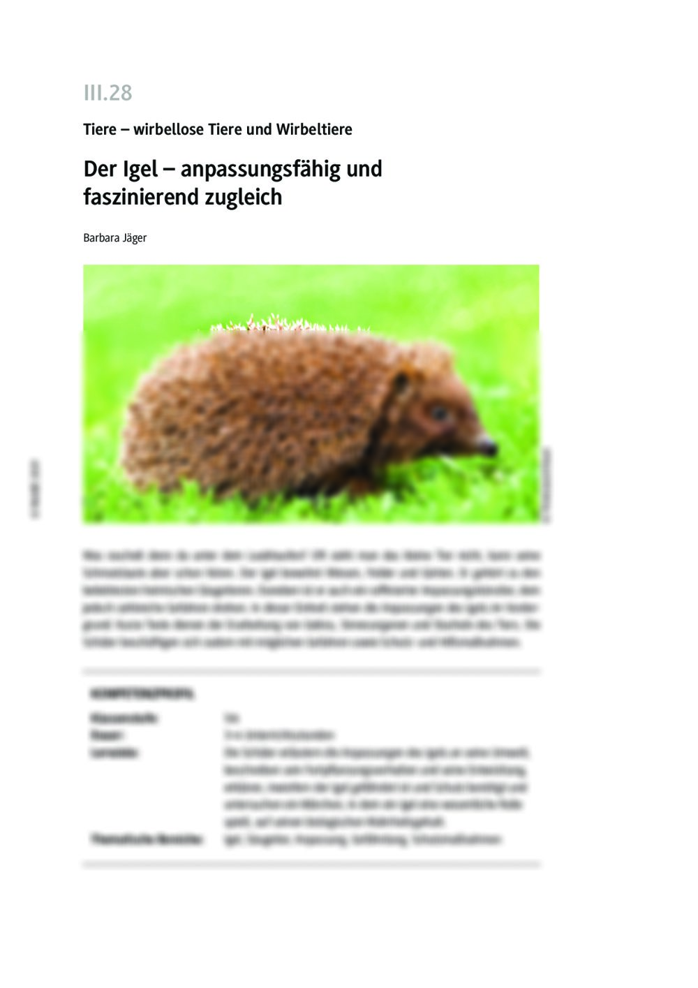 Der Igel - Seite 1