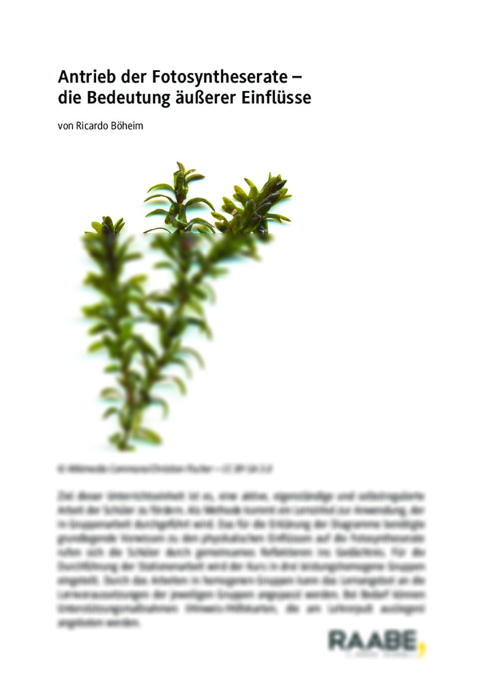 Antrieb der Fotosyntheserate - Seite 1