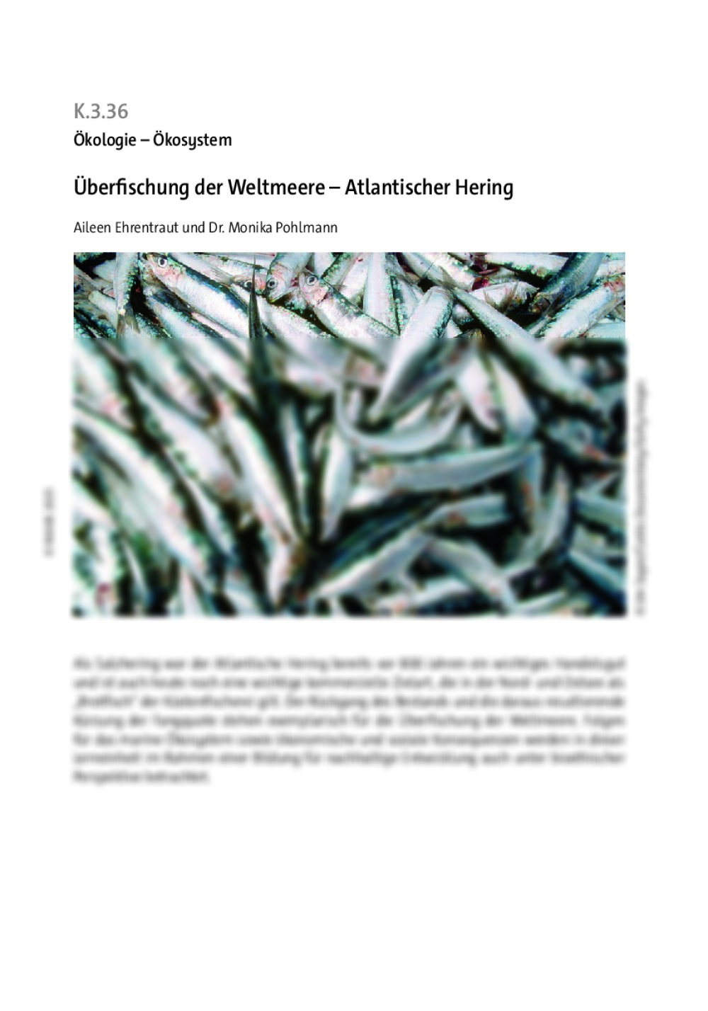 Überfischung der Weltmeere - Seite 1