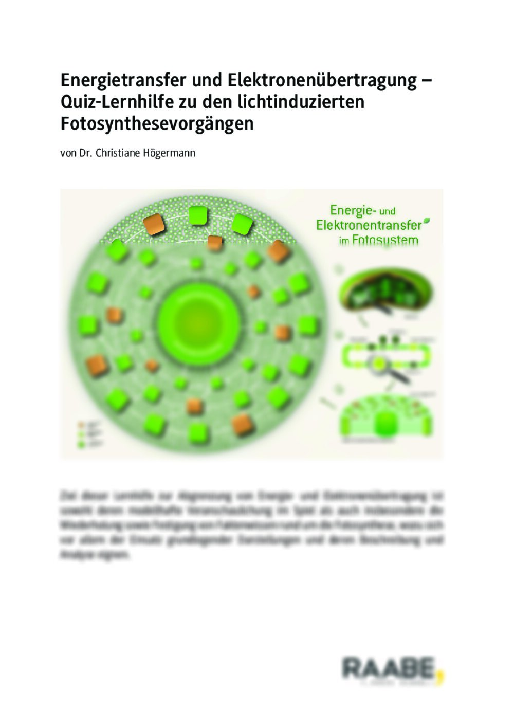 Quiz-Lernhilfe zu den lichtinduzierten Fotosynthesevorgängen - Seite 1