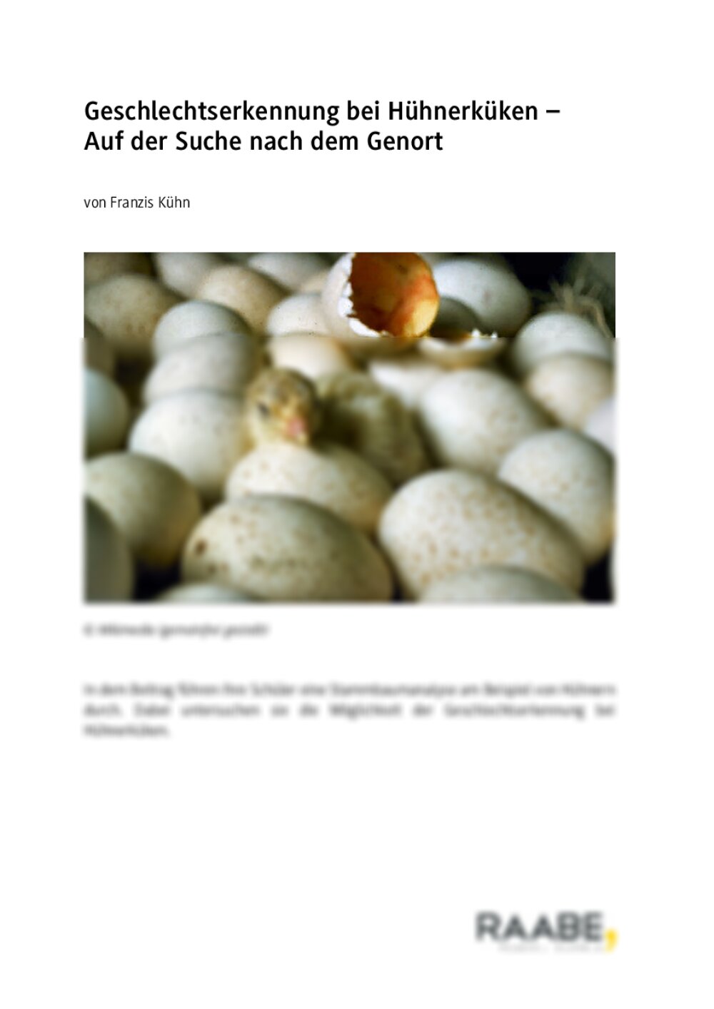 Geschlechtserkennung bei Hühnerküken - Seite 1