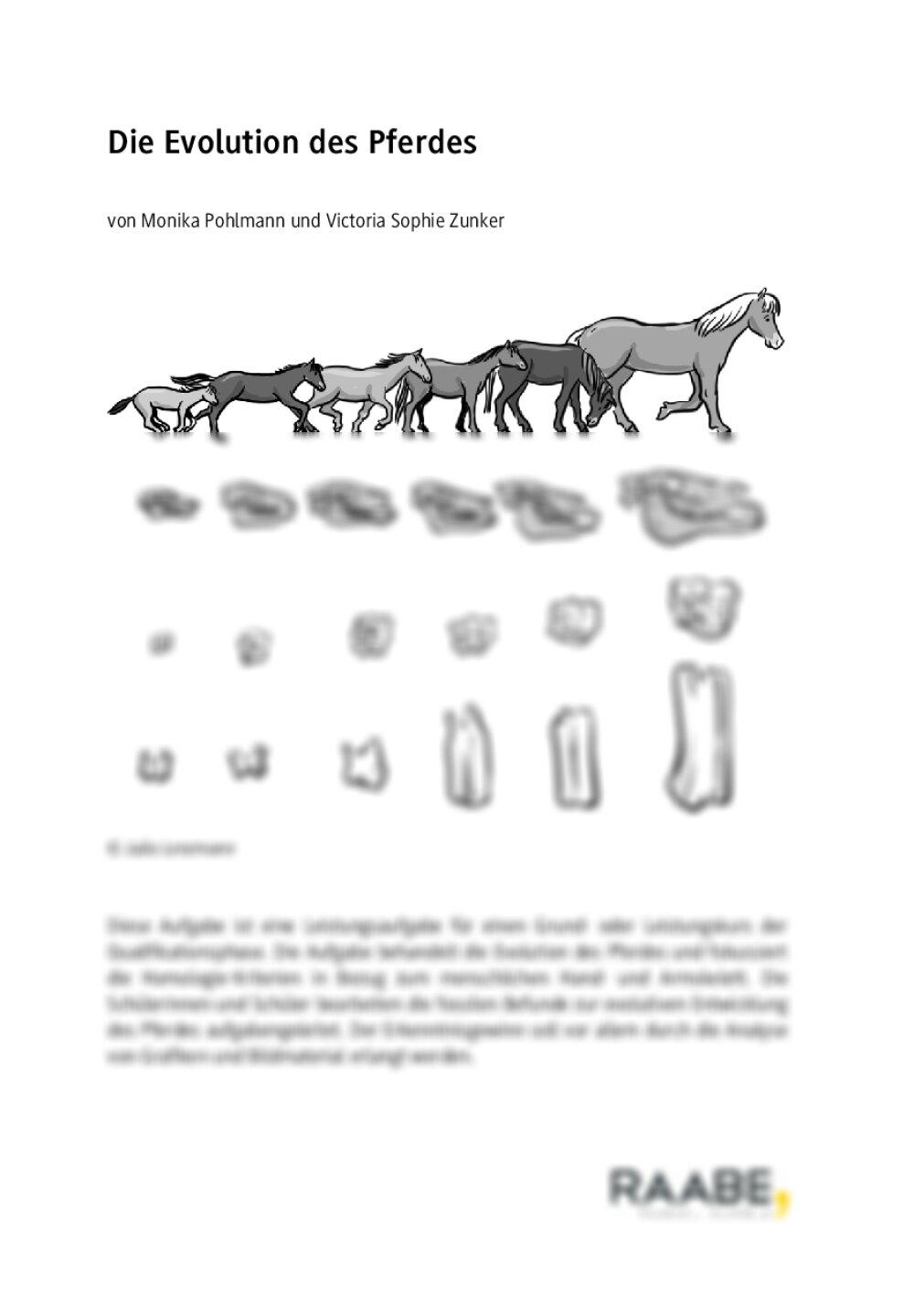 Die Evolution des Pferdes - Seite 1